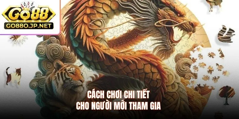 Cách chơi chi tiết cho người mới tham gia 