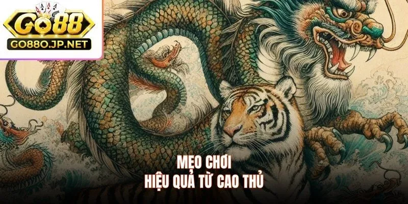 Mẹo chơi hiệu quả từ cao thủ của cổng game 