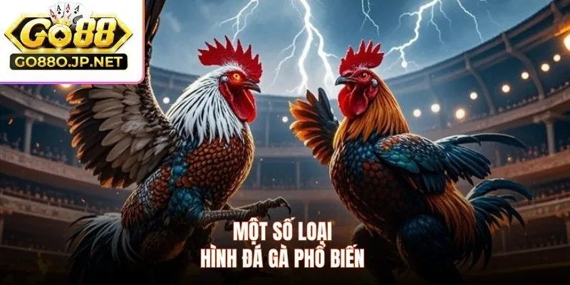 Một số loại hình đá gà phổ biến 