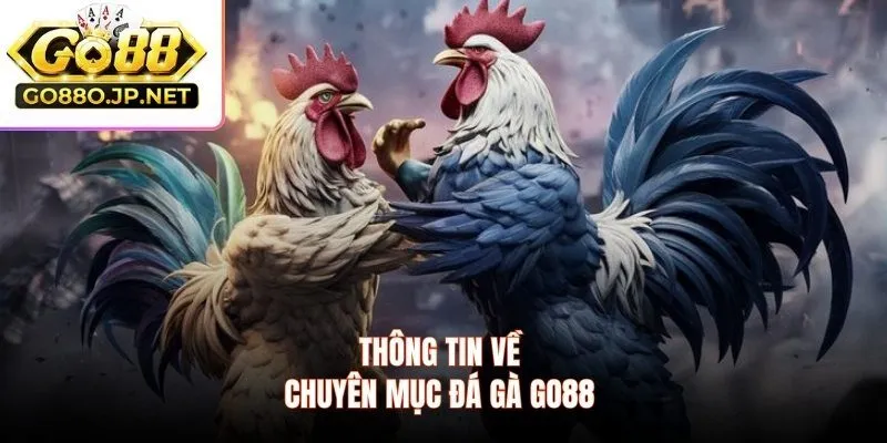 Thông tin về chuyên mục đá gà Go88 