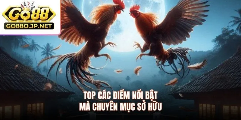 Top các điểm nổi bật mà chuyên mục sở hữu 